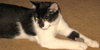 Sookie