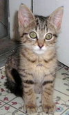 Sloane