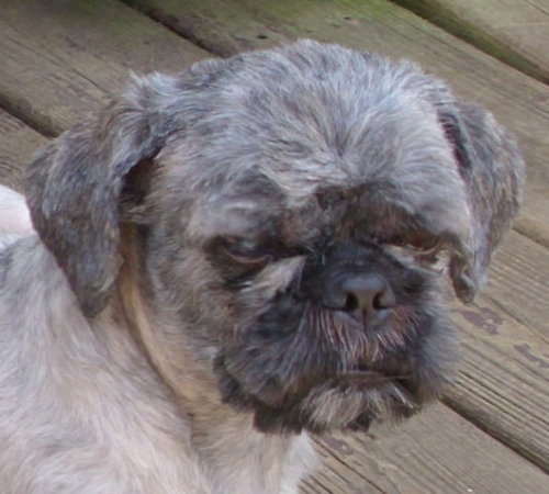 Sherman