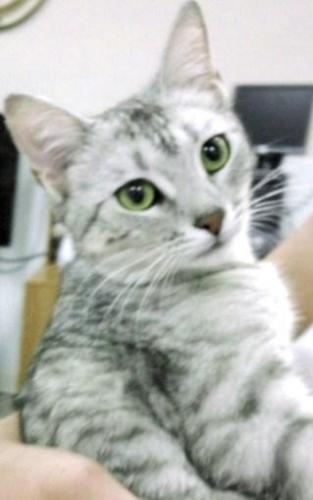 Athena
