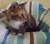 Savannah