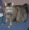 Leah