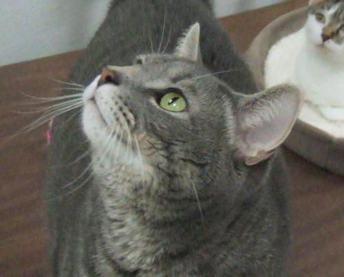 Theodore
