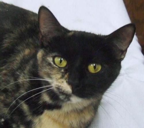 Samantha