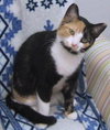 Cleo