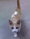 Abner