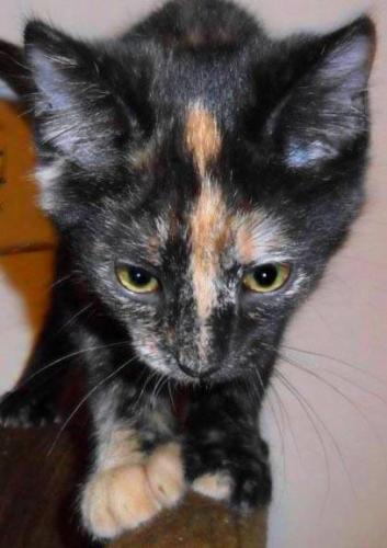 Eleanor