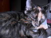 Eleanor