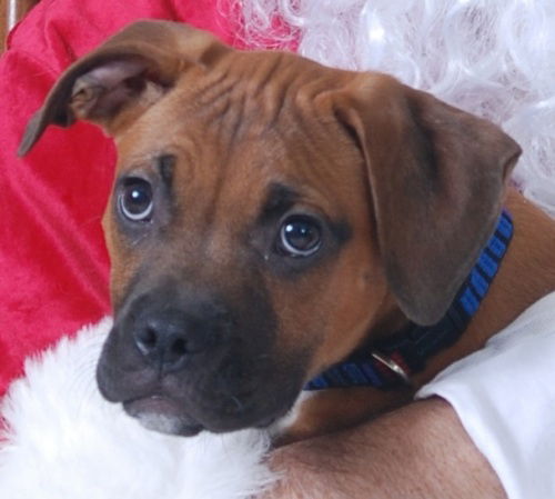 Zeus