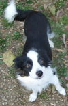 Mollie