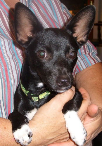 Tinker
