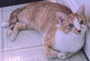 Elizabeth