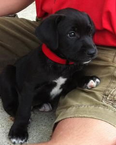 Tucker