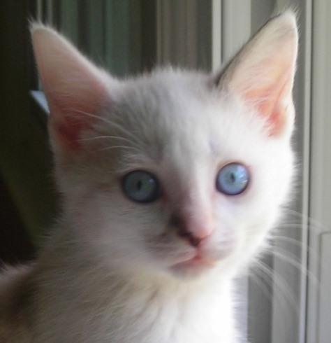 Sally