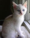 Sally