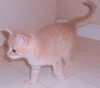 Thomas