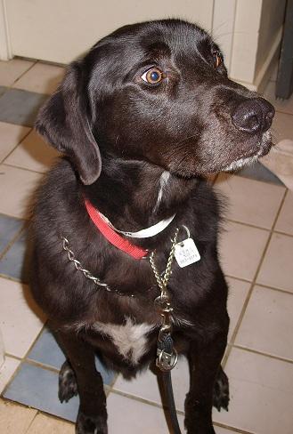 Tucker