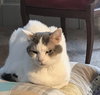 Missy