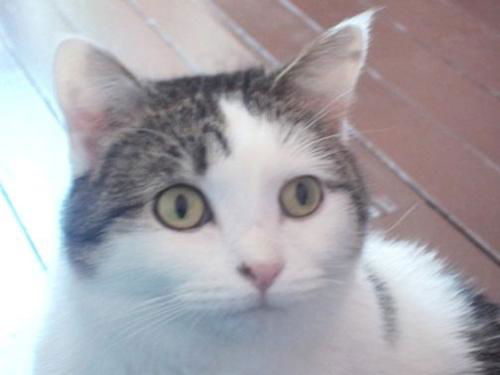 Patsy