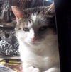 Patsy