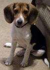 Molly