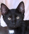 Astro