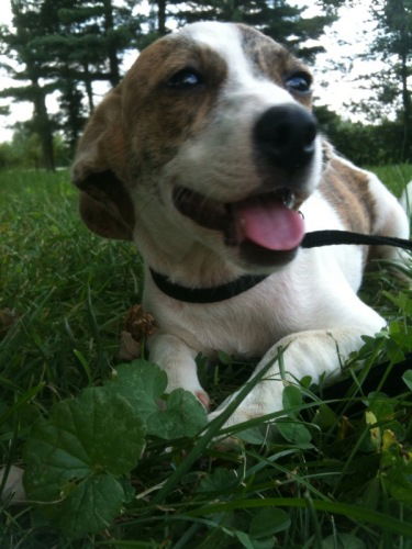 Abby