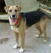 Jake