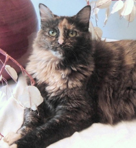 Fiona
