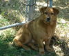 Tucker