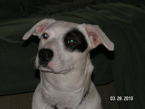 Spanky