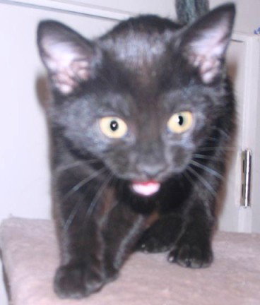 Fred