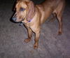 Remington