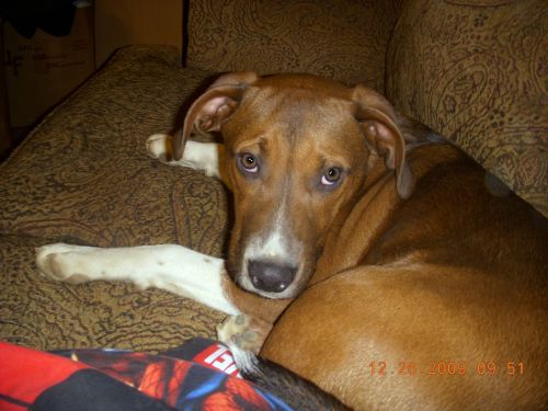 Copper
