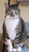Bootsie
