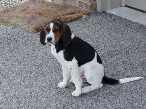 Humphrey