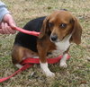 Sienna (COURTESY)
