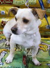 Theodore (Teddy)