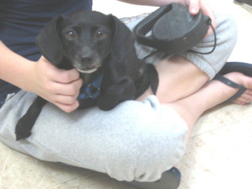 Nellie