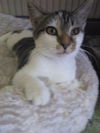 Kate