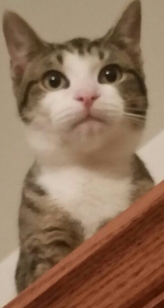 Franklin