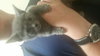 Shiloh