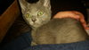 Shiloh