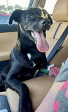 Zeke - Photo 7