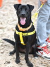 Zeke - Photo 4