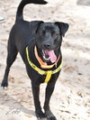 Zeke - Photo 5