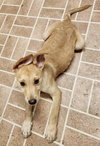 Tucker - Photo 14