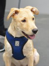 Tucker - Photo 10