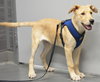 Tucker - Photo 12