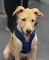 Tucker - Photo 13